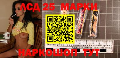 СК Можга