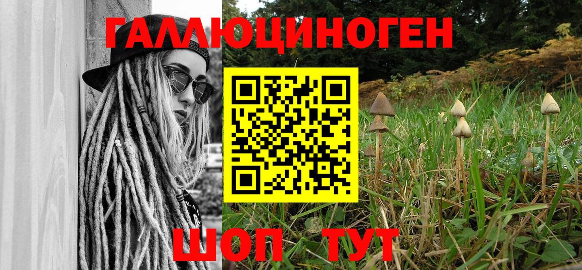 Галлюциногенные грибы MAGIC MUSHROOMS Алейск